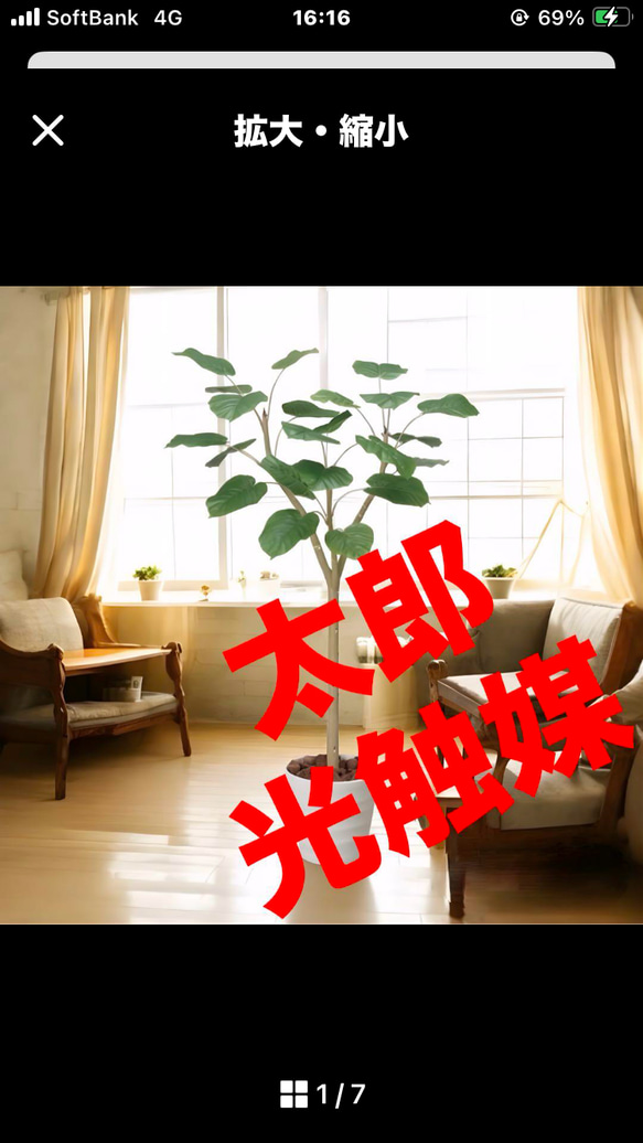 光触媒　人工観葉植物　ウォールグリーン　フェイクグリーン　ウンベラータ1.55