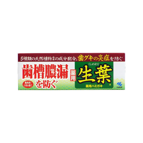 小林製薬 生葉a 100g F824166