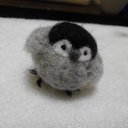 【受注生産】まぁるいとり　コウテイペンギン(ひな)