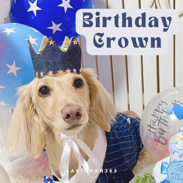 ミニ バースデークラウン デニム 星 犬 猫 うさぎ ペット 王冠 誕生日 あご紐 名入れ