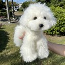 愛犬ちゃんのそっくりなリアルなペット人形をお作りします！　羊毛フェルト　犬　オーダー　ぬいぐるみ　愛犬　　ペット　リアル　人形