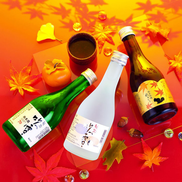 【秋限定】日本酒 秋あがり入り 飲み比べセット ミニボトル 300ml 3本 小瓶 辛口 お酒 新潟 高野酒造