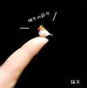 【最小ミニチュアあみぐるみ】お眠な白文鳥さん(兜付き)