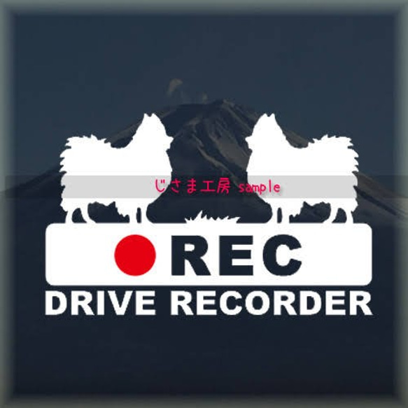 ポメラニアンが2匹の白シルエットステッカー煽り運転防止!!『DRIVE　RECORDER』