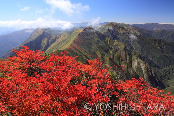 【額装写真】谷川岳の紅葉と続く稜線