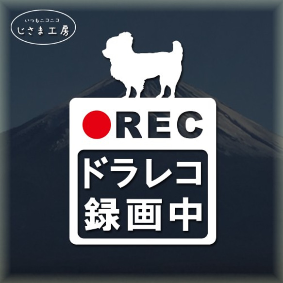 ロングコートチワワの白色シルエットステッカー危険運転防止!!ドライブレコーダー録画中