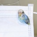 セキセイインコ????マグネット