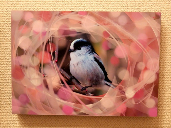 A5サイズの野鳥写真パネルその１