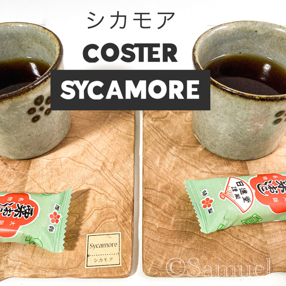 ◩きのかたち「色とりどりの不揃いコースター：Sycamore」L│インテリア 花台 飾り台 coaster C202