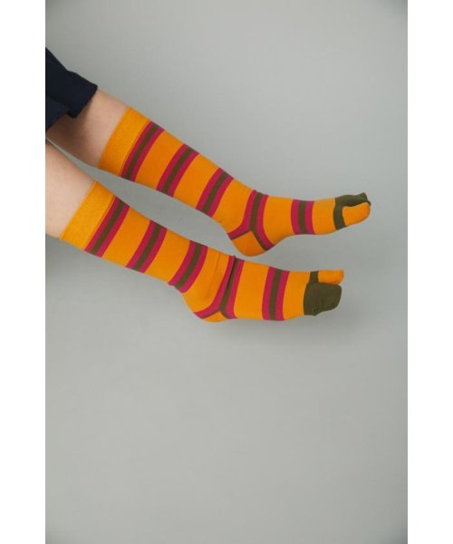 Multi boder socks