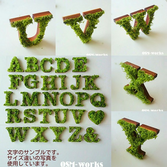 木製オブジェ(モス)ＬＬサイズ(30cm)×１点 『Ｕ・Ｖ・Ｗ・Ｘ・Ｙ』