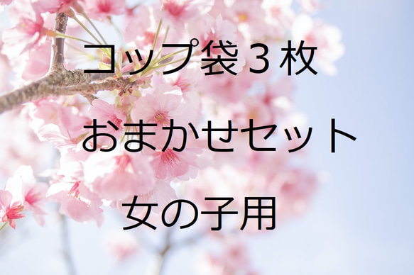 女の子用おトクなおまかせ３枚セット　２０×１５歯ブラシ・コップ袋　３枚　おしゃれ　可愛い♡　子育て支援　入園☆入学