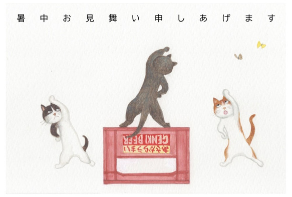 ラジオ体操 No.1 / 猫の絵葉書・ポストカード ＜暑中お見舞い用＞