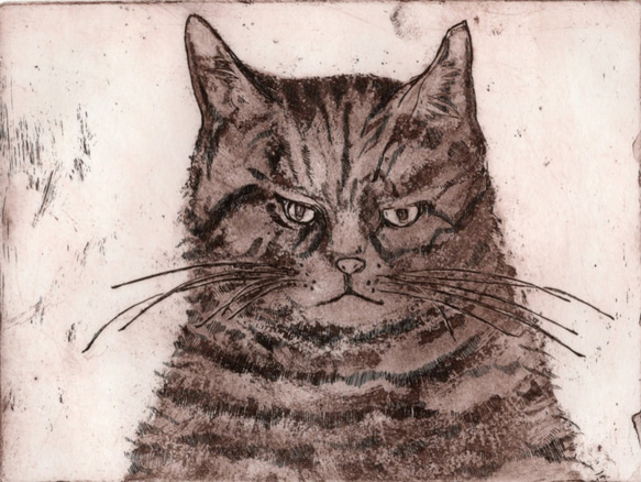 猫さんの銅版画　野良猫王の肖像画です