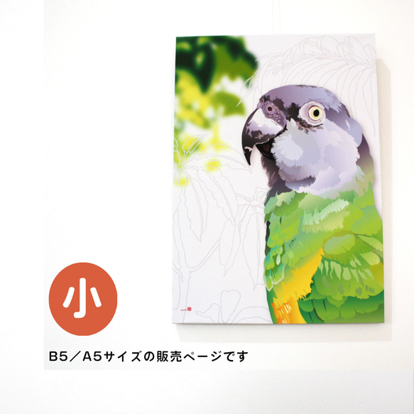 パネル作品【小】「Senegal Parrot」（A5・B5サイズ）