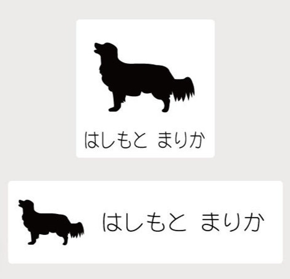 コーイケルホンディエ_ペットシルエットお名前スタンプ_犬グッズ_名入れ_PET-TEP_ENT_036_189