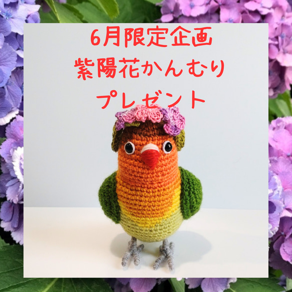 ✨6月期間限定企画　紫陽花かんむり プレゼント付き　受注制作品になります✨ 　　　　 　　　　♥ボタンインコ♥