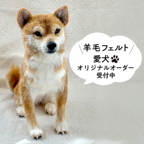 羊毛フェルト【オーダーメイド】うちの子オーダー✴︎犬✴︎愛犬✴︎ペット✴︎柴犬*ハンドメイド✴︎ペットロスペットロス