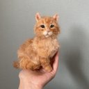 手乗り子猫　茶トラ　羊毛フェルト　ぬいぐるみ　ねこ