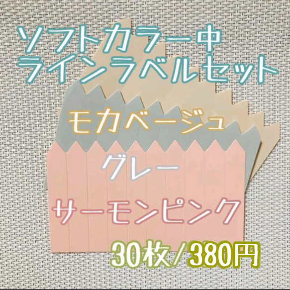 ラインラベル 中 茶・灰・肌 各10枚 園芸ラベル カラーラベル 多肉植物