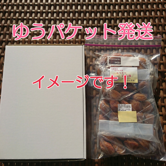 おためし価格♪ 本場紀州南高梅  【容器無し】チョコット訳あり☆はちみつ完熟梅 600g