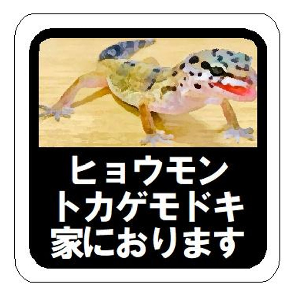 水彩調 ヒョウモントカゲモドキ家におりますC カー マグネットステッカー