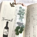 しおり????????四つ葉さがしの透明しおり　四つ葉探しの遊び心と幸せの予感　プチギフト　ラッピング無料