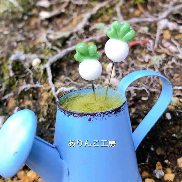 カブのまち針