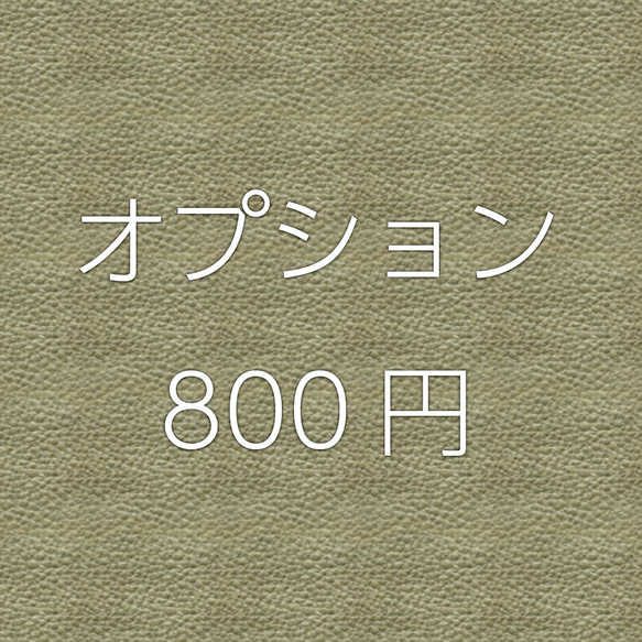 オプション 800円