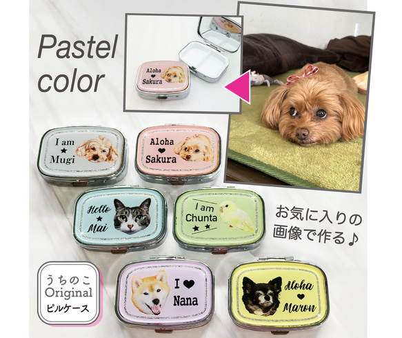 写真で作る うちのこ オリジナル  ピルケース Pastel 愛犬 愛猫 ペット 犬 猫 推し活 うちの子