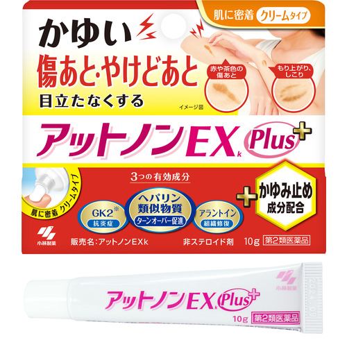 【第2類医薬品】小林製薬 アットノンEXプラス (10g)