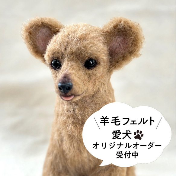 羊毛フェルト【オーダーメイド】うちの子オーダー✴︎犬✴︎愛犬✴︎ペット✴︎ハンドメイド✴︎ペットロスペットロス