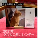 うたねこ堂オリジナル猫カレンダー