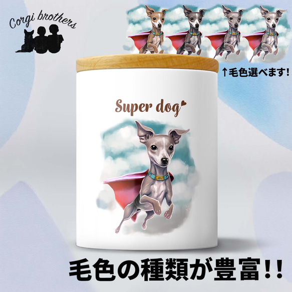 【 ヒーロー イタリアングレーハウンド 】 キャニスター　保存容器　お家用　プレゼント　犬　ペット　うちの子　犬グッズ