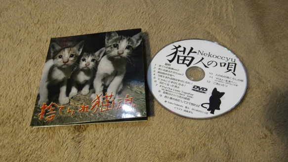 【送料無料】オリジナル・チャリティー・DVD　捨てられ猫魂