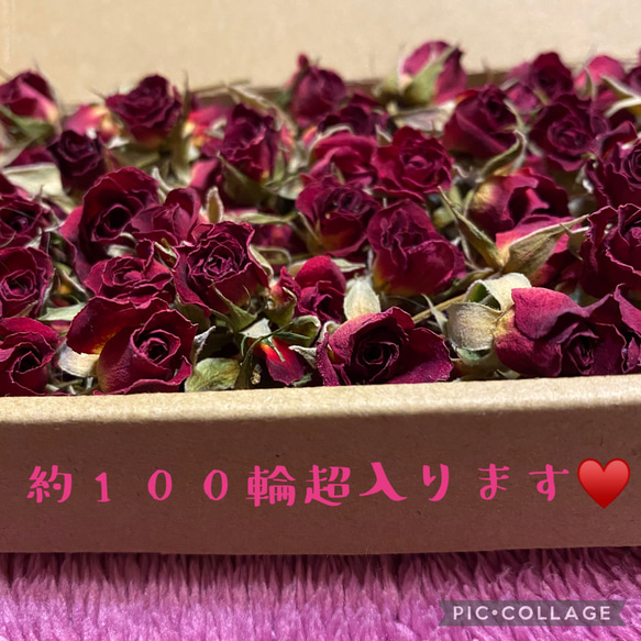 大サービス品★ミニ薔薇B品セット★ミニ薔薇を小型ダンボールいっぱいに詰めます♡100輪以上入ります★ハンドメイド花材に