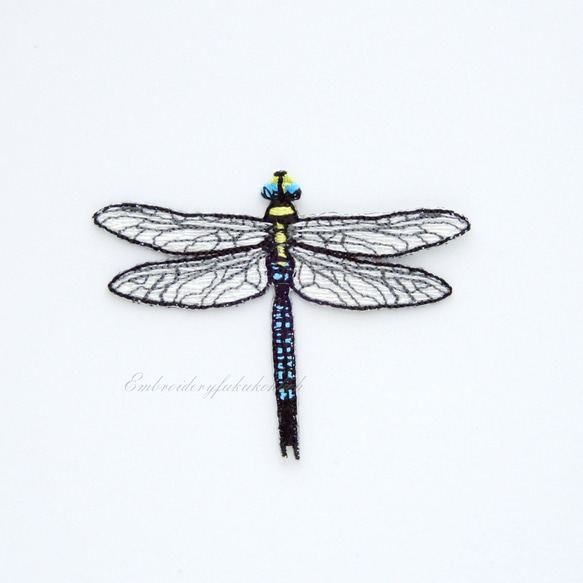 クロスジギンヤンマ　トンボ　昆虫　銀蜻蜓　 dragonfly