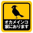 オカメインコ家におります カー マグネットステッカー