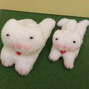 ♪ふわクタ にゃんこ♪    親子でいかがですか(*´ω｀*)