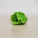 1/6サイズミニチュア野菜　グリーンリーフ