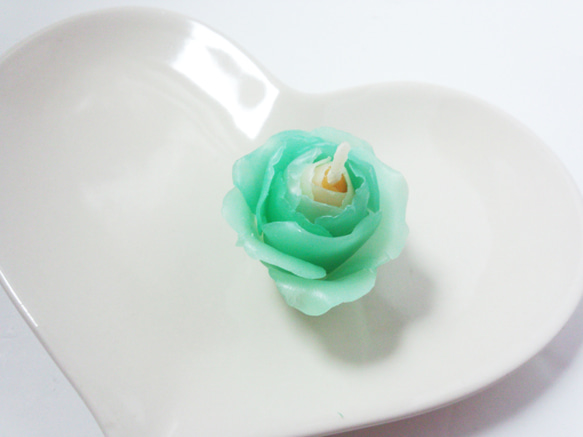 light green rose