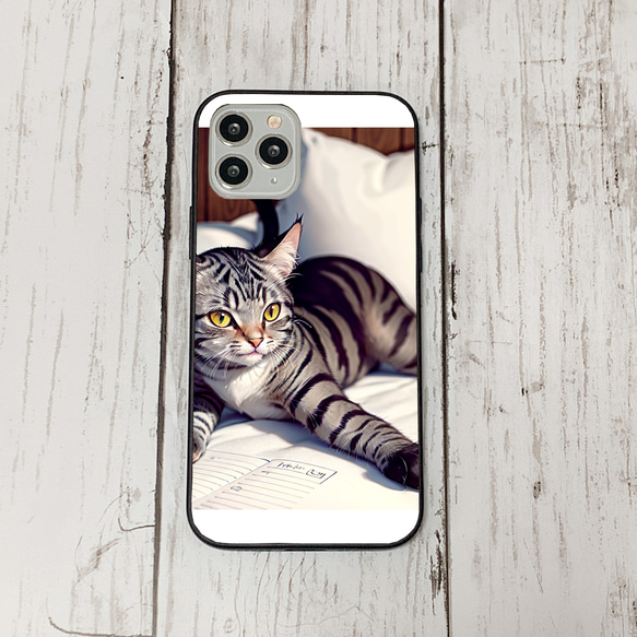 iphoneケース4-5-45 iphone 強化ガラス 猫・ねこ・ネコちゃん 箱19 かわいい アイフォン iface