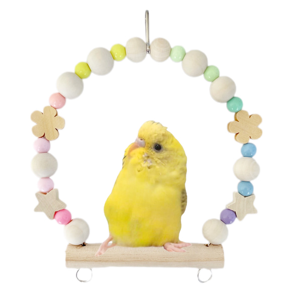 【訳あり】Sサイズ 日本製 セキセイインコ 鳥 ブランコ NA81：パステルレインボー 薄い虹色