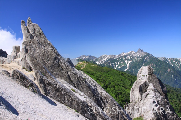 【額装写真】イルカが泳ぐ山