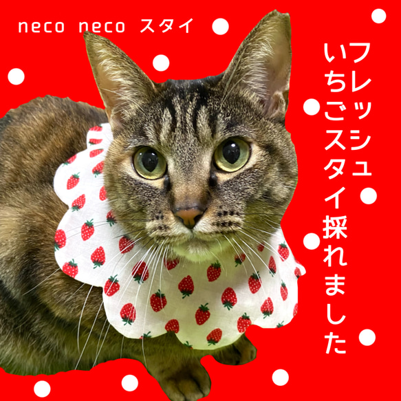 いちごneco neco スタイ　白