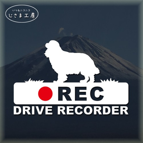 キャバリアの白シルエットステッカー後方注意!!『DRIVE　RECORDER』