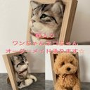 羊毛フェルト☆額入り犬猫ちゃんオーダーメイド受付中☆