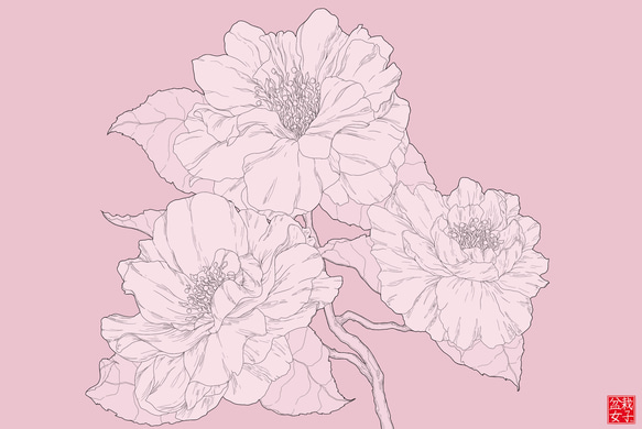 Peony print postcard - #1 牡丹のアートはがき #1