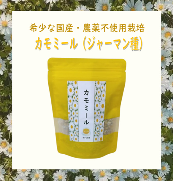 希少な国産・無農薬栽培ドライハーブ「カモミール」（15ｇ入り）