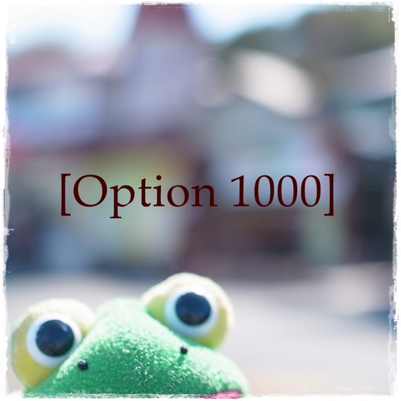 [Option1000]